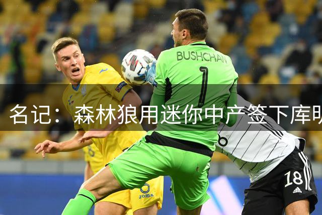 名记：森林狼用迷你中产签下库明加性价比极高 又提升了球队实力