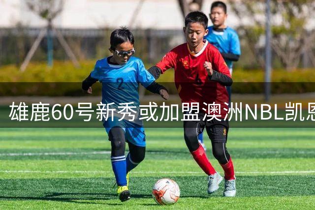 雄鹿60号新秀或加盟澳洲NBL凯恩斯队